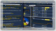 Software Localization
